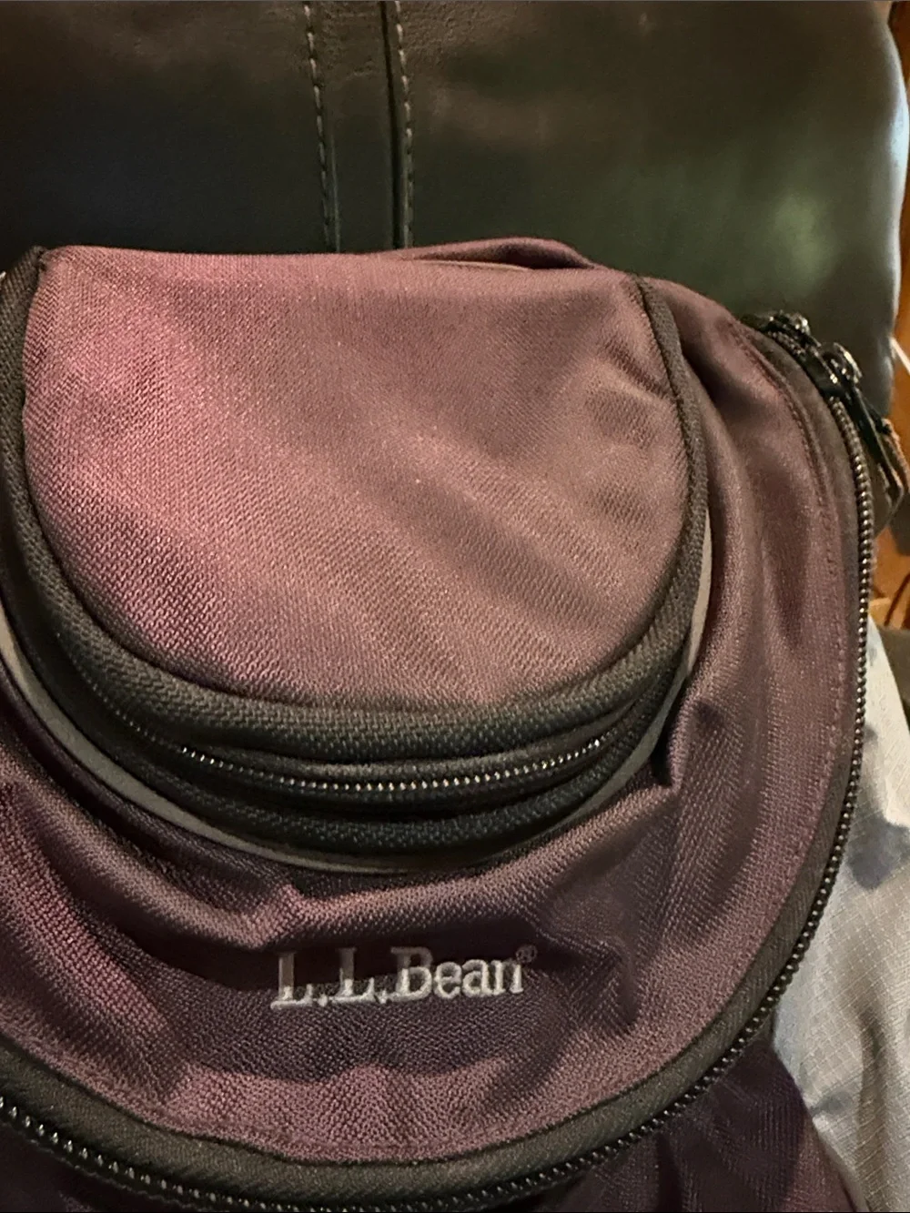 L.L. Bean roomy pack